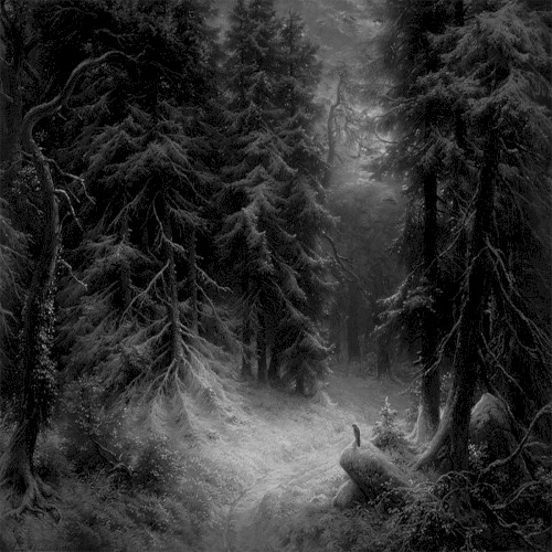 Wanderings Within Forests of Despondency II