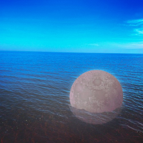 Daytime Moon