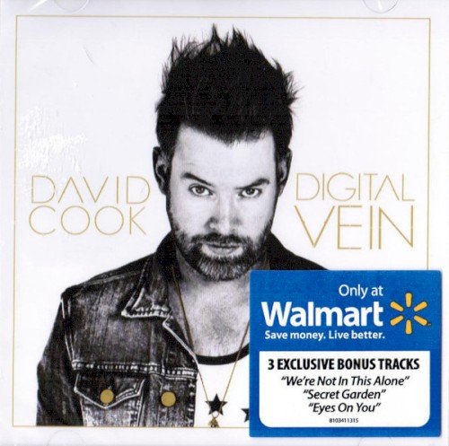 Digital Vein