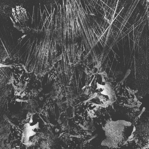 Metempiric