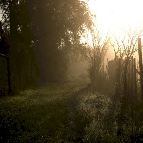 Untitled Symbol