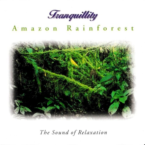 Amazon Rainforest