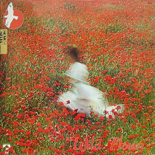 Wild Flower