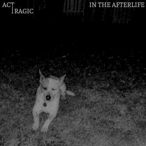 In The Afterlife