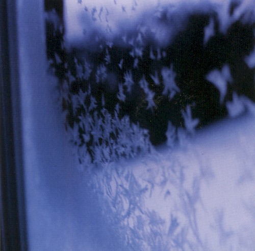 The Loss of Our Winter