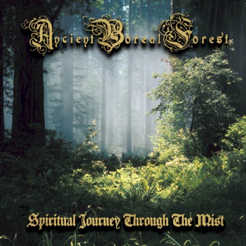 Spiritual Journey Through the Mist