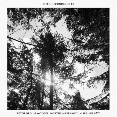 Field Recordings #2