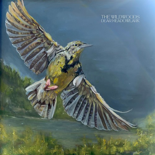 Dear Meadowlark