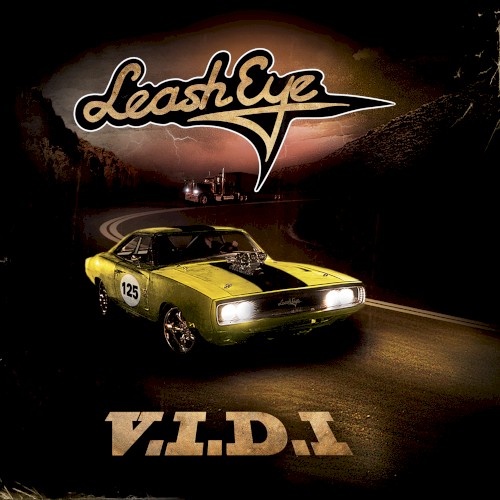 V.I.D.I