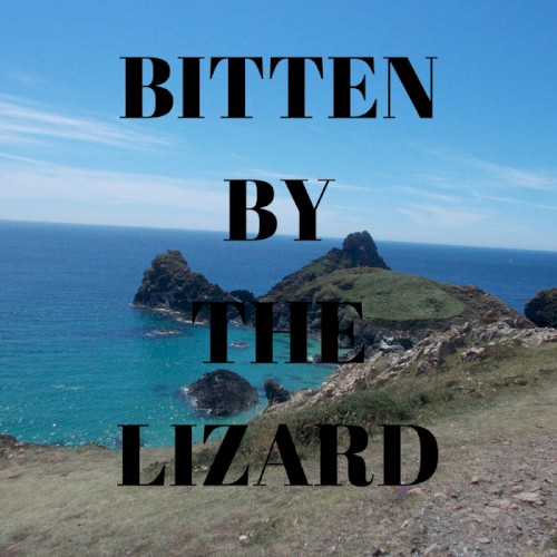 Bitten By The Lizard