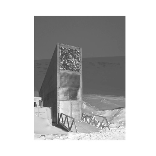 Extinction Process III