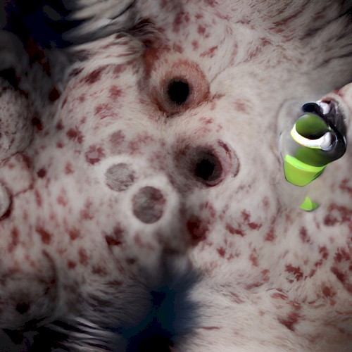 Nonbigenesis