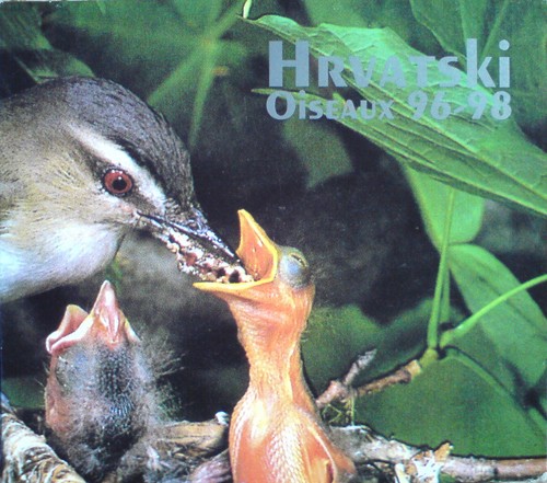 Oiseaux 96-98