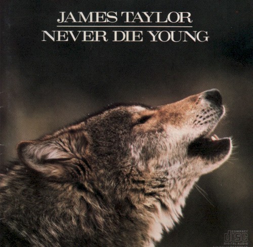 Never Die Young