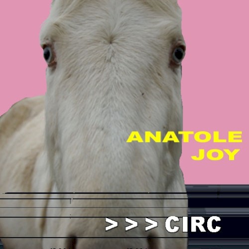 Anatole Joy