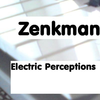 Electric Perceptions