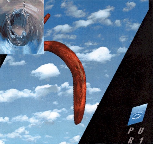 PUR 1