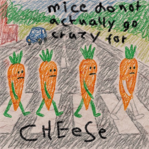 mice do not actually go crazy for cheese