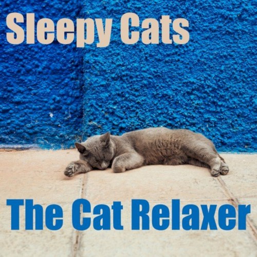 Sleepy Cats