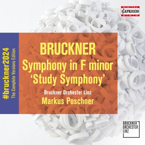 Symphony in F minor 'Study Symphony'