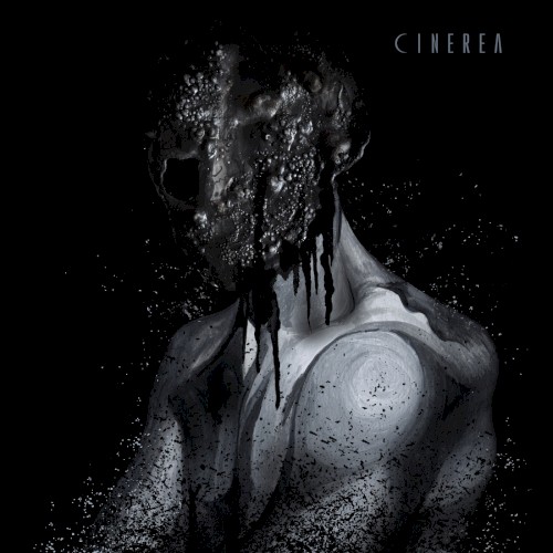 Cinerea