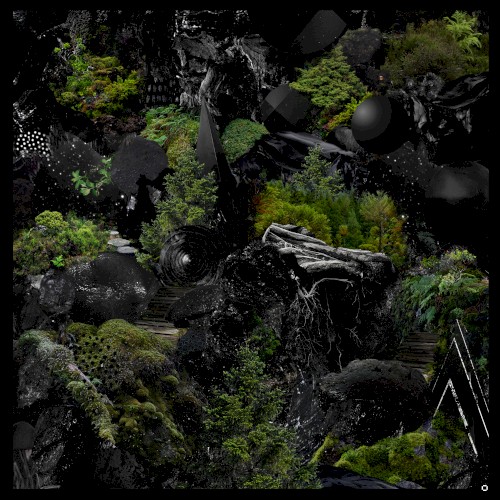 The Selva &ndash; Mistérios negros