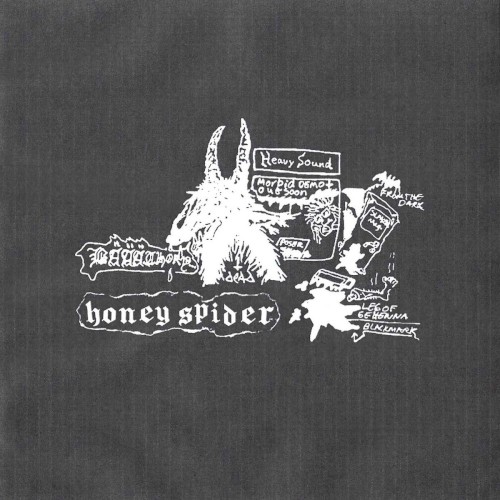 Honey Spider