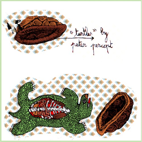 Turtles