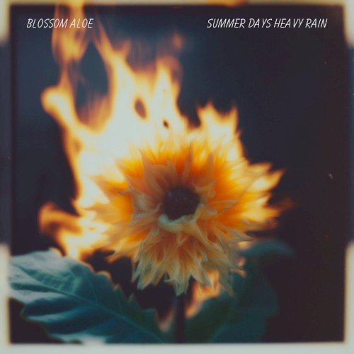 Summer Days Heavy Rain