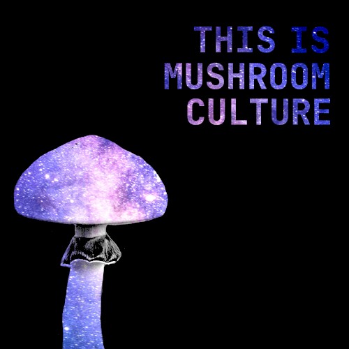 This is Mushroom Culture