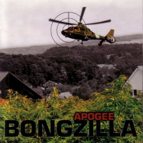 Apogee