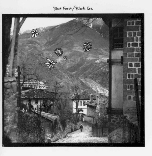 Black Forest/Black Sea
