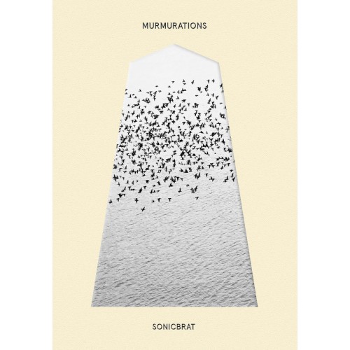 MURMURATIONS