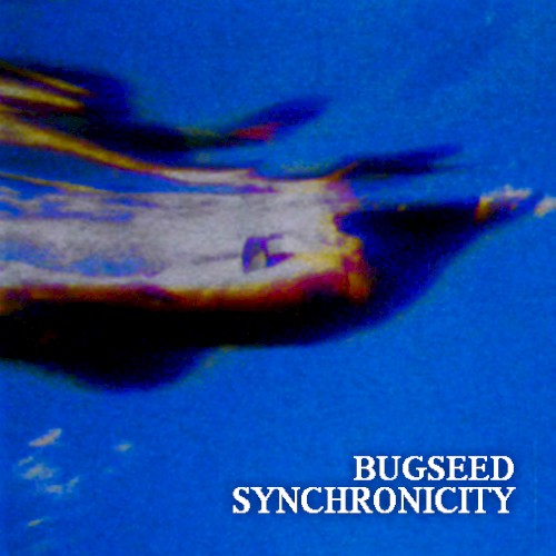 Synchronicity