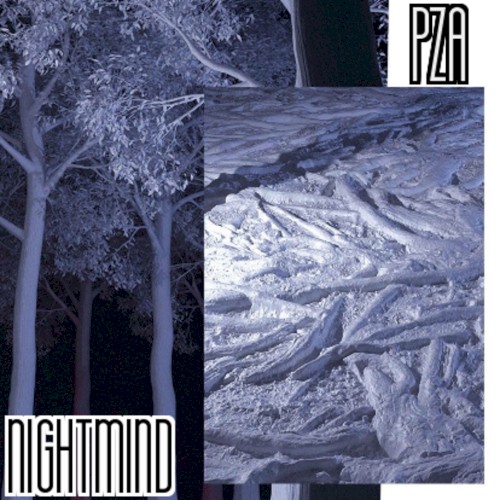 NIGHTMIND