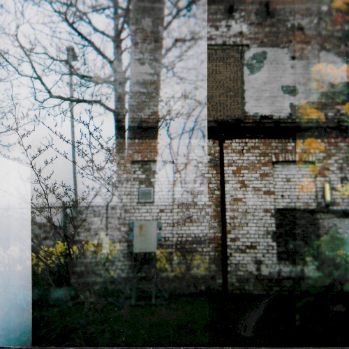 Six Panels for the Dissolution