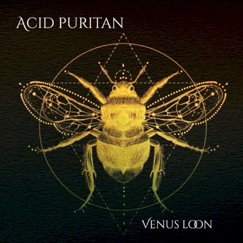 Acid Puritan