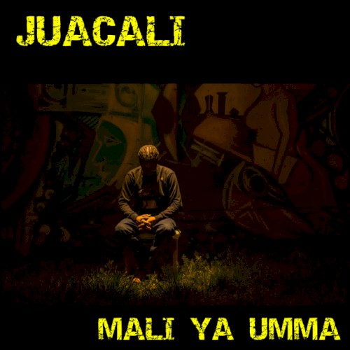 Mali Ya Umma
