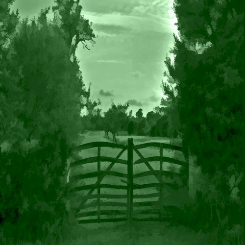 No GREEN Pass