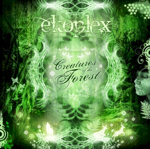 Creatures of the Forest