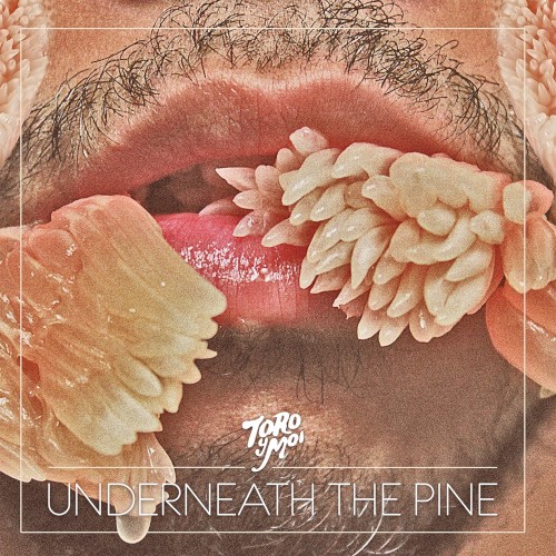 Underneath the Pine
