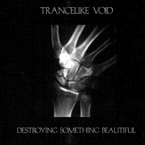 Destroying Something Beautiful