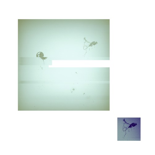 Spacejellyfish