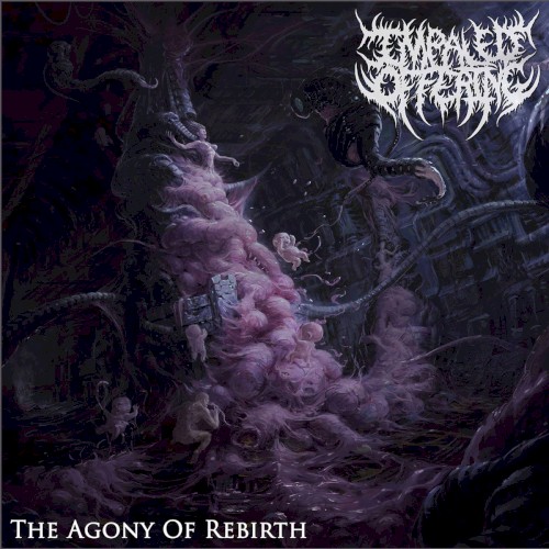 The Agony of Rebirth