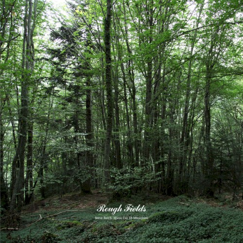 Music for 18 Musicians (Rough Fields Overdubbed Version)