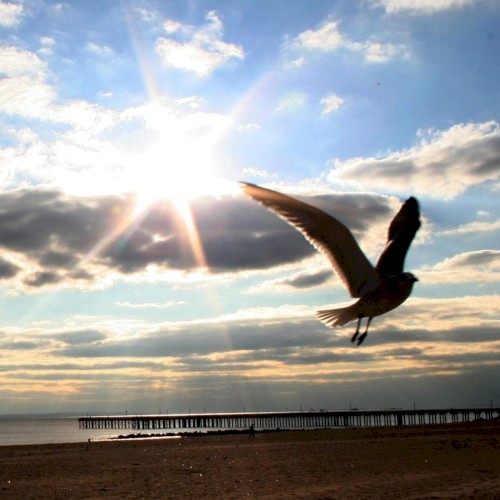 Artificial Horizon