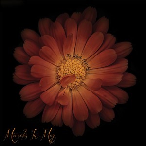 Miracles in May