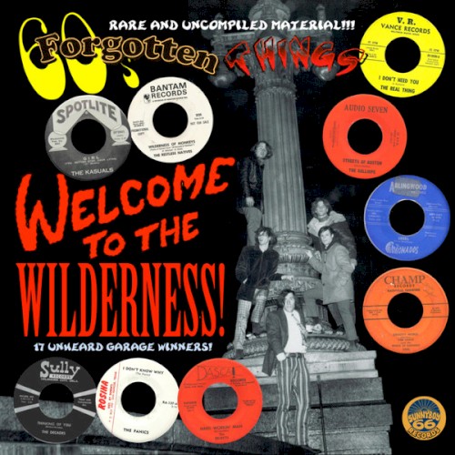 Various Artists &ndash; 60's Forgotten Things Vol. 1 - Welcome To The Wilderness!
