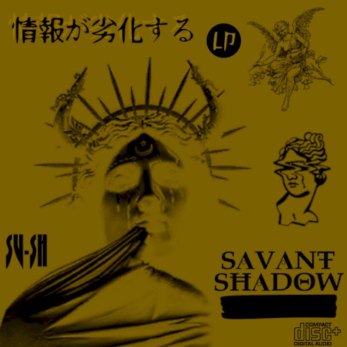 情報が劣化する LP