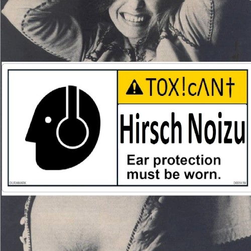 Hirsch Noizu